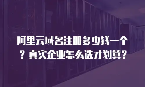 阿里云域名注册多少钱一个？真实企业怎么选才划算？