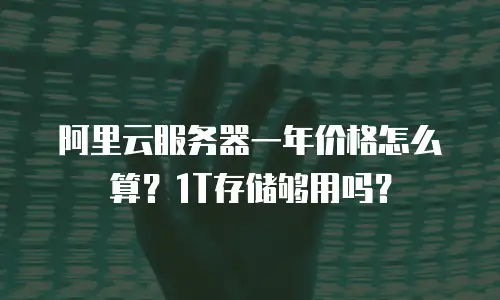 阿里云服务器一年价格怎么算？1T存储够用吗？