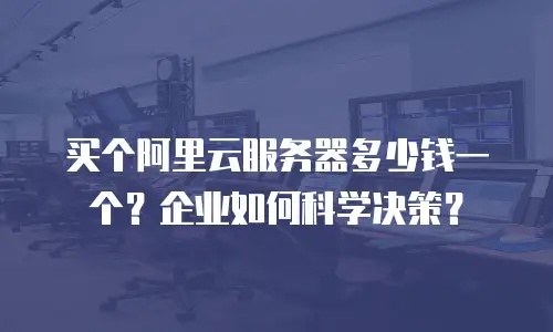 买个阿里云服务器多少钱一个？企业如何科学决策？
