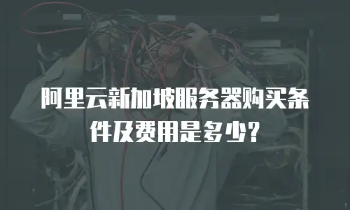 阿里云新加坡服务器购买条件及费用是多少？