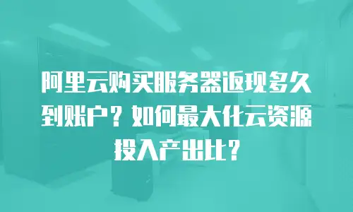 阿里云购买服务器返现多久到账户？如何最大化云资源投入产出比？