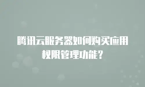 腾讯云服务器如何购买应用权限管理功能？