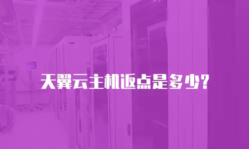 天翼云主机返点是多少？