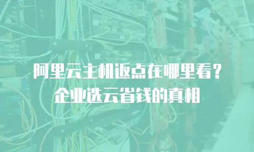 阿里云主机返点在哪里看？企业选云省钱的真相