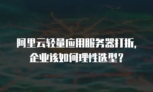 阿里云轻量应用服务器打折，企业该如何理性选型？