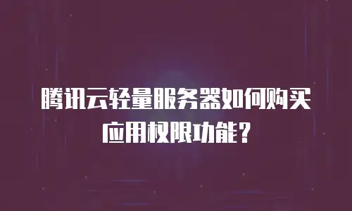 腾讯云轻量服务器如何购买应用权限功能？