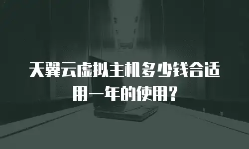天翼云虚拟主机多少钱合适用一年的使用？