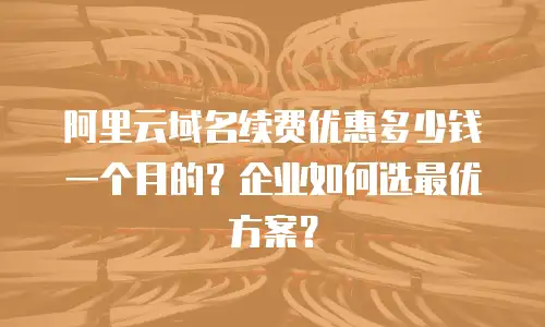 阿里云域名续费优惠多少钱一个月的？企业如何选最优方案？