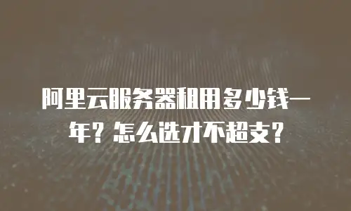 阿里云服务器租用多少钱一年？怎么选才不超支？