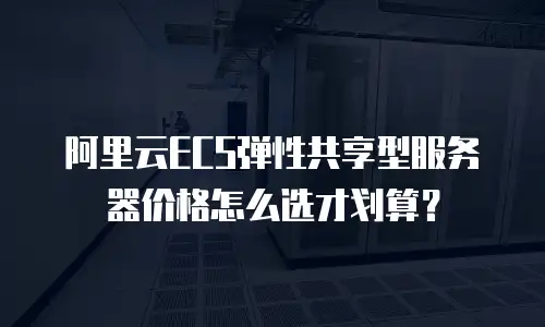 阿里云ECS弹性共享型服务器价格怎么选才划算？