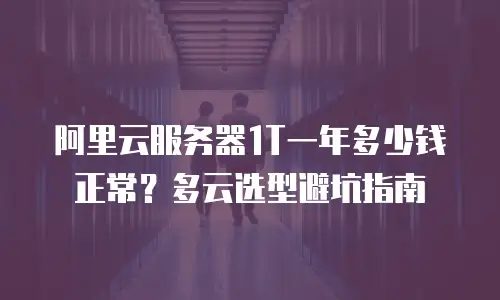 阿里云服务器1T一年多少钱正常？多云选型避坑指南