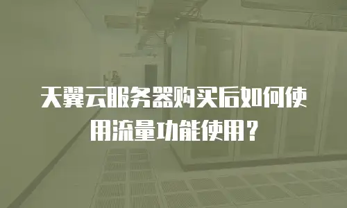 天翼云服务器购买后如何使用流量功能使用？
