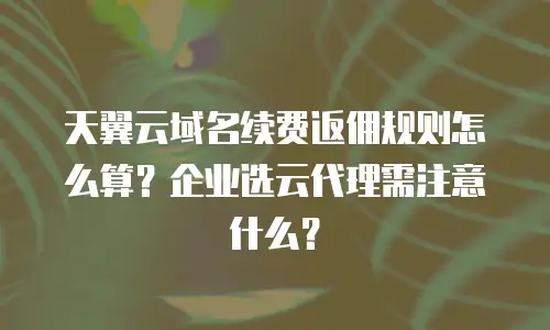天翼云域名续费返佣规则怎么算？企业选云代理需注意什么？