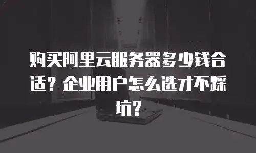 购买阿里云服务器多少钱合适？企业用户怎么选才不踩坑？