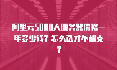 阿里云5000人服务器价格一年多少钱？怎么选才不超支？
