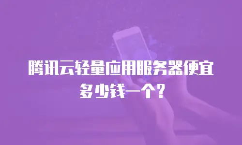 腾讯云轻量应用服务器便宜多少钱一个？
