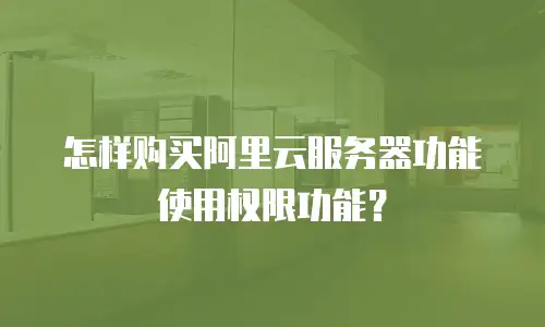 怎样购买阿里云服务器功能使用权限功能？