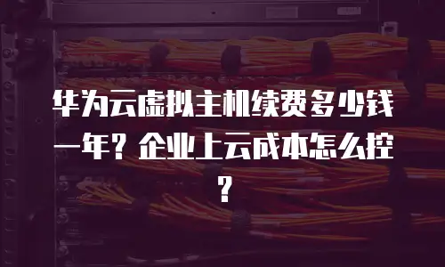 华为云虚拟主机续费多少钱一年？企业上云成本怎么控？