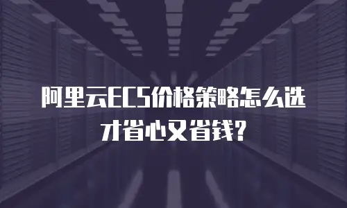 阿里云ECS价格策略怎么选才省心又省钱？