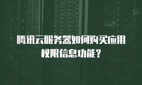 腾讯云服务器如何购买应用权限信息功能？