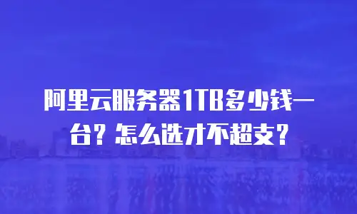 阿里云服务器1TB多少钱一台？怎么选才不超支？