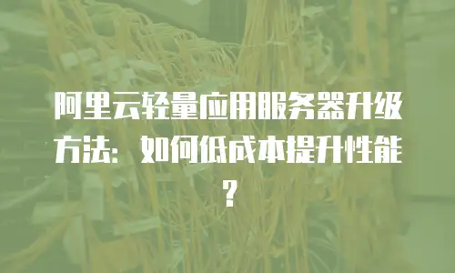 阿里云轻量应用服务器升级方法：如何低成本提升性能？