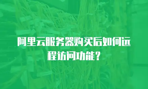 阿里云服务器购买后如何远程访问功能？