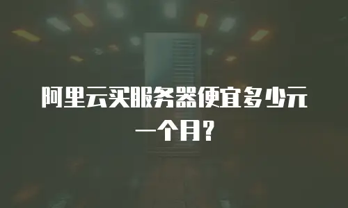 阿里云买服务器便宜多少元一个月？