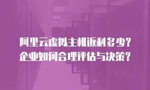 阿里云虚拟主机返利多少？企业如何合理评估与决策？