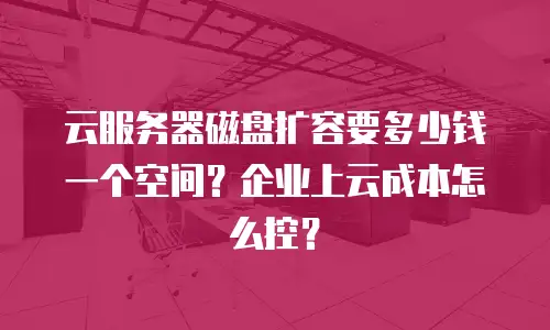 云服务器磁盘扩容要多少钱一个空间？企业上云成本怎么控？