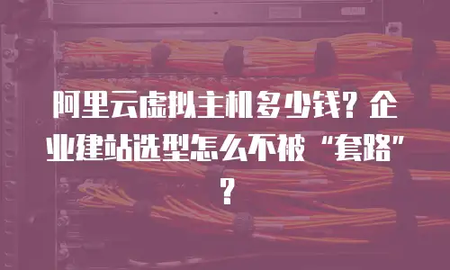 阿里云虚拟主机多少钱？企业建站选型怎么不被“套路”？