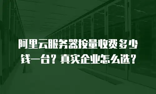阿里云服务器按量收费多少钱一台？真实企业怎么选？
