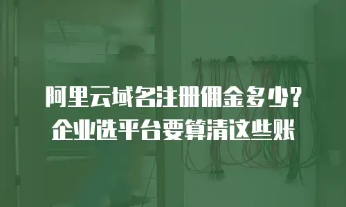 阿里云域名注册佣金多少？企业选平台要算清这些账
