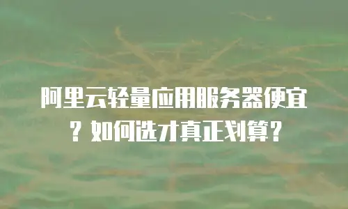 阿里云轻量应用服务器便宜？如何选才真正划算？