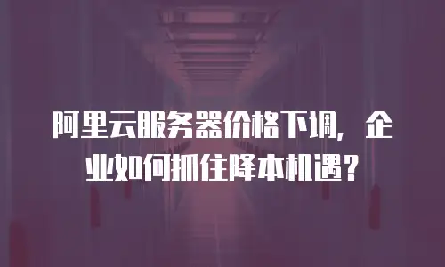 阿里云服务器价格下调，企业如何抓住降本机遇？