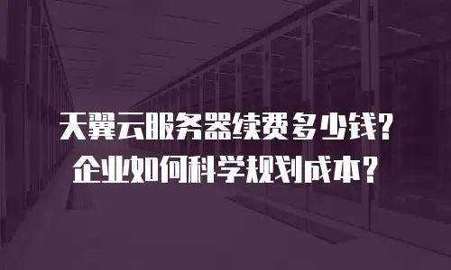 天翼云服务器续费多少钱？企业如何科学规划成本？