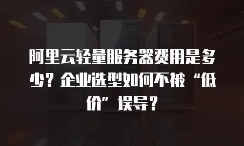 阿里云轻量服务器费用是多少？企业选型如何不被“低价”误导？