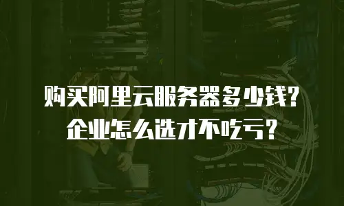 购买阿里云服务器多少钱？企业怎么选才不吃亏？
