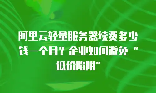 阿里云轻量服务器续费多少钱一个月？企业如何避免“低价陷阱”