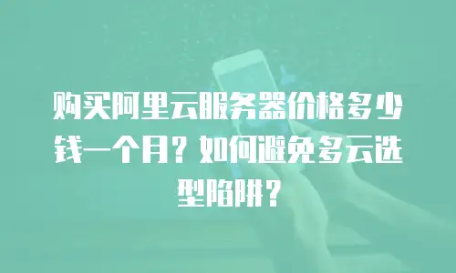 购买阿里云服务器价格多少钱一个月？如何避免多云选型陷阱？