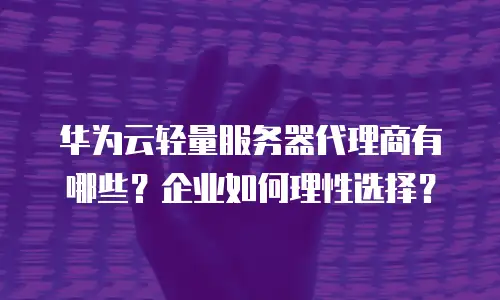 华为云轻量服务器代理商有哪些？企业如何理性选择？