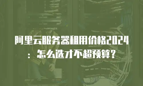 阿里云服务器租用价格2024：怎么选才不超预算？