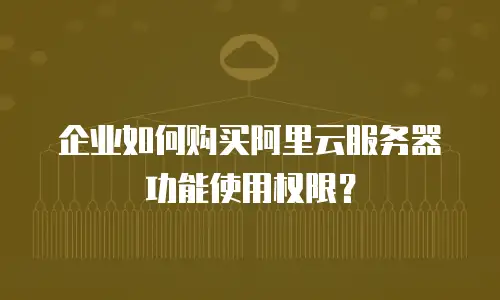 企业如何购买阿里云服务器功能使用权限？