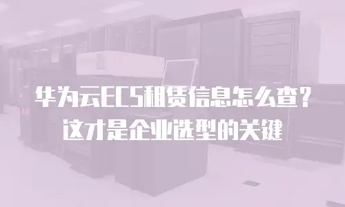 华为云ECS租赁信息怎么查？这才是企业选型的关键