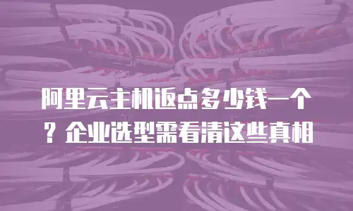 阿里云主机返点多少钱一个？企业选型需看清这些真相