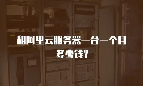 租阿里云服务器一台一个月多少钱？