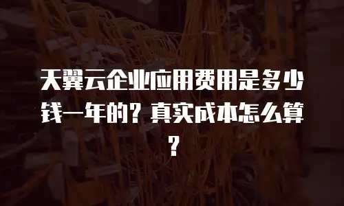 天翼云企业应用费用是多少钱一年的？真实成本怎么算？