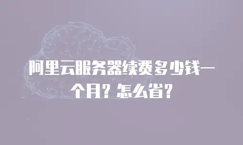 阿里云服务器续费多少钱一个月？怎么省？