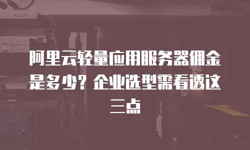 阿里云轻量应用服务器佣金是多少？企业选型需看透这三点
