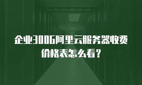 企业300G阿里云服务器收费价格表怎么看？